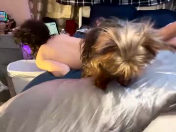 Cam for nymphosnlove