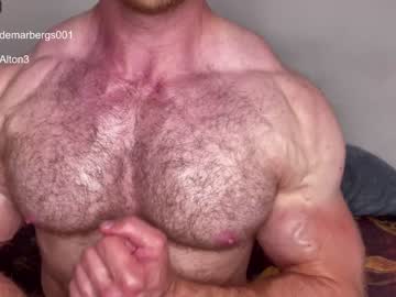 Cam for wlademarbergs