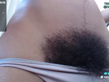 Cam for rococo_basilisk