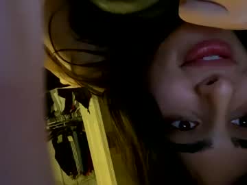 Cam for persianswords