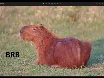 Cam for revivedunknown