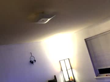 Cam for blackanddeckerpeckerwrecker