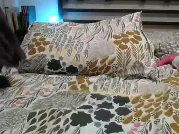 Cam for into_the_panda